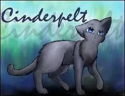 Comment Museau Cendré est-elle morte ?