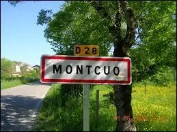 Laquelle de ces propositions n'est pas une ville de l'histoire de League of Legends ?