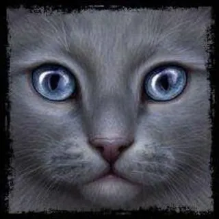 Avant, je voulais devenir guerrière. En fait, j'ai toujours voulu être guerrière. Mais malheureusement, je suis tombée dans le piège d'un traître, et je me suis fracturé la patte à jamais. Qui suis-je ?