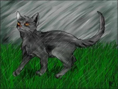 J'ai été élevé dans le Clan de la Rivière, mais j'avais également le sang du Clan du Tonnerre. Je devins lieutenant, jusqu'à ce que le Clan de la Rivière se lie au Clan de l'Ombre. Je devins prisonnier, pour cause d'être un sang-mêlé. Le chef du Clan de l'Ombre demanda à un de ses guerriers de me tuer. Qui suis-je ?