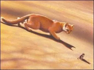 Je n'en crois pas mes oreilles ! Un chat domestique comme apprenti ? Étoile Bleue doit vraiment être désespérée ! Sauf que ... j'avoue qu'il est très fort, et très intelligent ... Bon d'accord ! Je l'aime énormément ! Qui suis-je ?