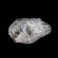 D'où vient l'ambre gris ?