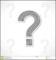 Que sont "les Petits-Gris" ?