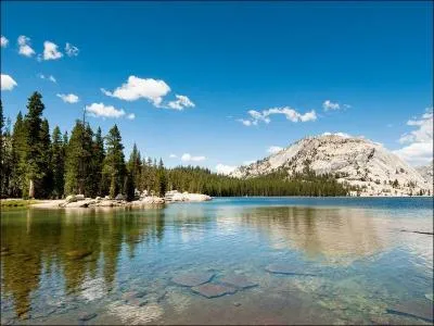 Qui était surnommé "Dear Henry"?