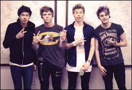 Quel jeu sur console n'aime-t-il pas contrairement aux autres membres de 5SOS ?