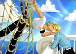 Quel est ce couple de One Piece ?