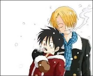 Quel est ce couple de One Piece ?