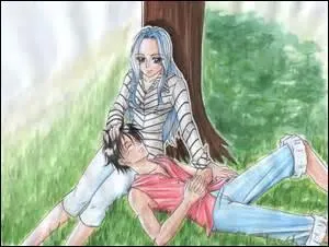 Quel est ce couple de One Piece ?