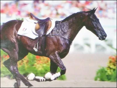 Quand a eu lieu la chute de Pierre Durand avec Jappeloup ?