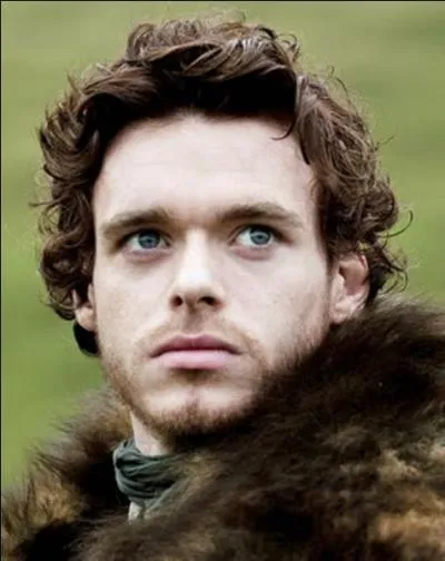 Robb Stark est souvent surnommé __________ par ses hommes mais également ______(deux réponses attendues).