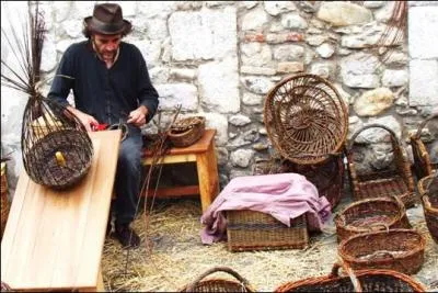 Que cherchent généralement les vanniers pour faire leurs paniers ?