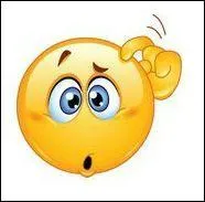 Je n'ai pas compris, est-ce que cela te dérangerais de...