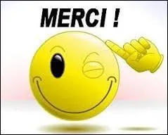 Pour lui faire plaisir, je vais lui dire "merci" mais vite fait donc en version abrégée, je vais dire...