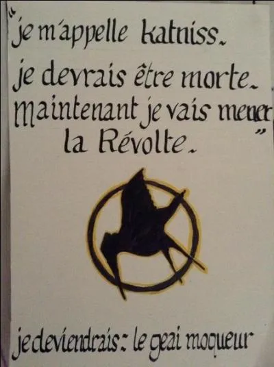 Qui est Suzanne Collins ?