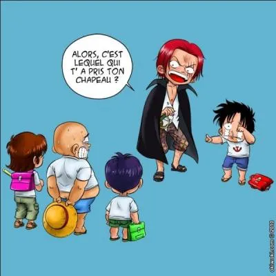 Lequel des trois a pris le chapeau de Luffy ?