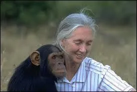 Elle est la plus grande primatologue du monde, concernant les chimpanzés.