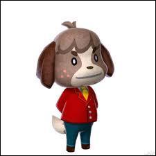 Quiz Animal crossing
