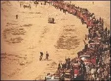 En quelle année a eu lieu la Marche verte ?