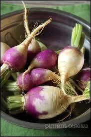 Dans le milieu du cinéma, qu'appelle-t-on un "navet" ?