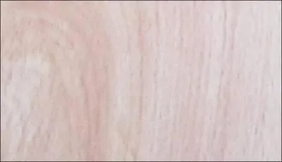 Que représente cette photo ?