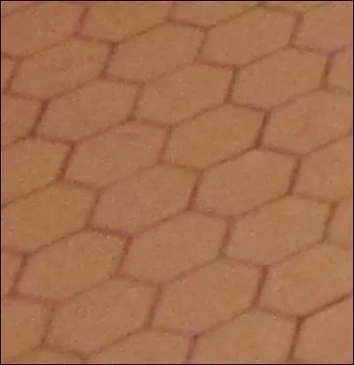 Cette image montre ...