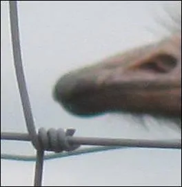 Qu'est-ce que c'est ?