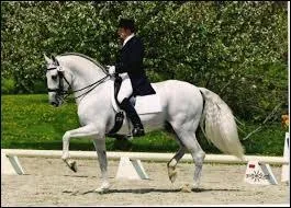 Quelle est cette allure ?