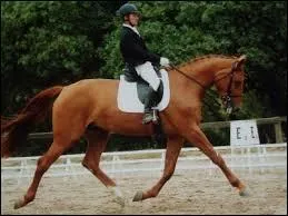 Quelle est cette allure ?