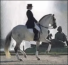 Quelle est cette allure ?