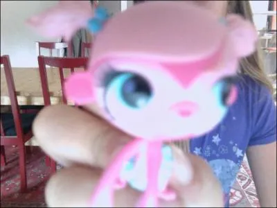 Comment s'appelle le singe ?