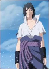 Pour Naruto, Sasuke Uchiwa est un...