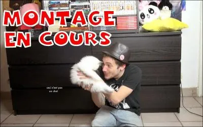 Au cours des saisons, comment est abrégé "Salut les Geeks" ?