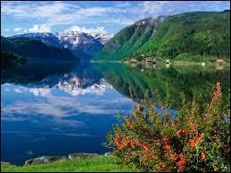 Mon 1er signifie ''fou'' en anglais... Mon second signifie ''lire'' en anglais... Mon tout est la capitale de...