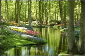 Mon 1er est un rongeur domestique... Mon 2nd est le nom que l'on donne aux reines des jeux de cartes... Et mon tout est la capitale...