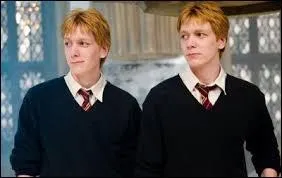 Qui sont les jumeaux ?