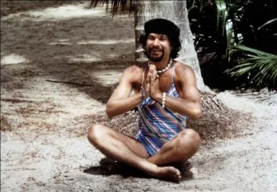 Martin Lamotte dans " Les Bronzés " joue :