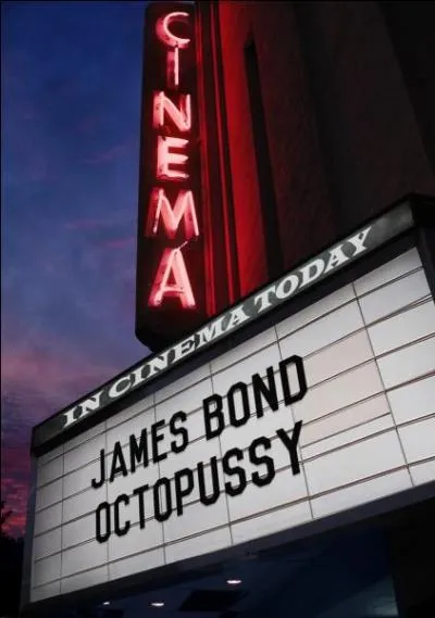 Qui interprète le rôle dans ce 13e opus de la série ?