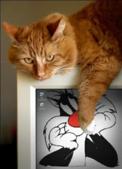 Quel est le nom de ce personnage de dessin animé ?