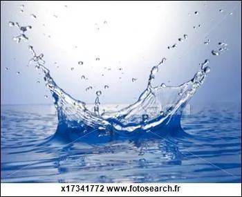 Combien y a-t-il de grands "huits aquatiques" à Europa Park ?