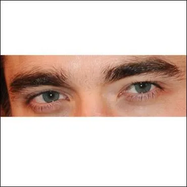 A qui sont ces yeux assez fascinants ?