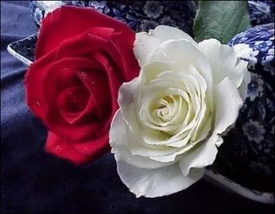 Au XVe siècle, dans quel pays s'est déroulée la guerre des Deux-Roses ?