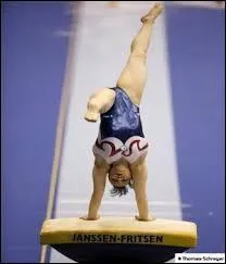 Qui a remporté la médaille d'argent au saut de cheval ?