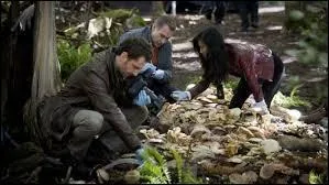 Dans quelle série, une gymnaste olympique, McKayla Maroney, a fait une apparition ?