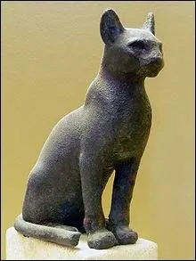 Dans l'Égypte antique, les chats furent vénérés ! Les chats étaient associés au symbole de protection.