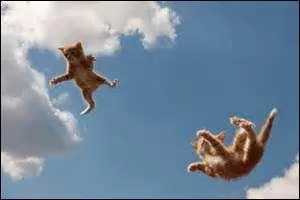 Que signifie cette expression : « retomber comme un chat sur ses pattes » ?