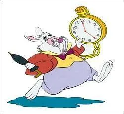 Comment appelle-t-on, en argot, l'aide-pharmacien ?