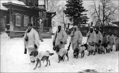 Pendant la 2 e Guerre mondiale, les japonais n'ont pas été les seuls à employer des techniques kamikazes. Les soviétiques ont dressé des chiens, chargés d'explosifs, à aller sous les véhicules blindés allemands. Ils explosaient alors, le véhicule était détruit et le chien sacrifié. On les appelait les chiens "chiens-bombes ou chiens-mines". Un tel entraînement perdura jusque dans les années 1990.