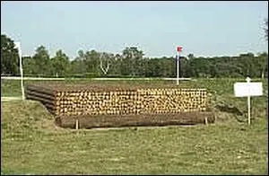 Quel est le nom de cet obstacle de cross ?