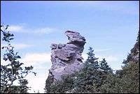 Le Cap-Chat est une municipalité du Canada, mais dans quelle province peut-on voir cette municipalité ? (Sur l'image est représenté un rocher ressemblant à un chat, selon certains)