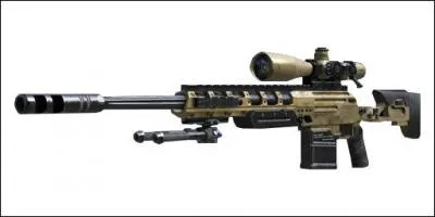 Le nom de cette arme est :